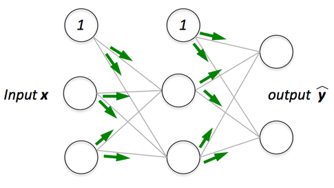 forward_propagation